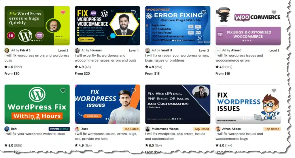 Get assistance from a freelancer on platforms like Fiverr