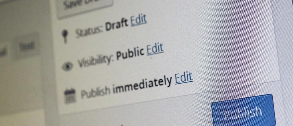 WordPress screenshot showing blog post options for "Status: Draft," "Visibility: Public," and "Publish immediately," illustrating how to manage post settings.